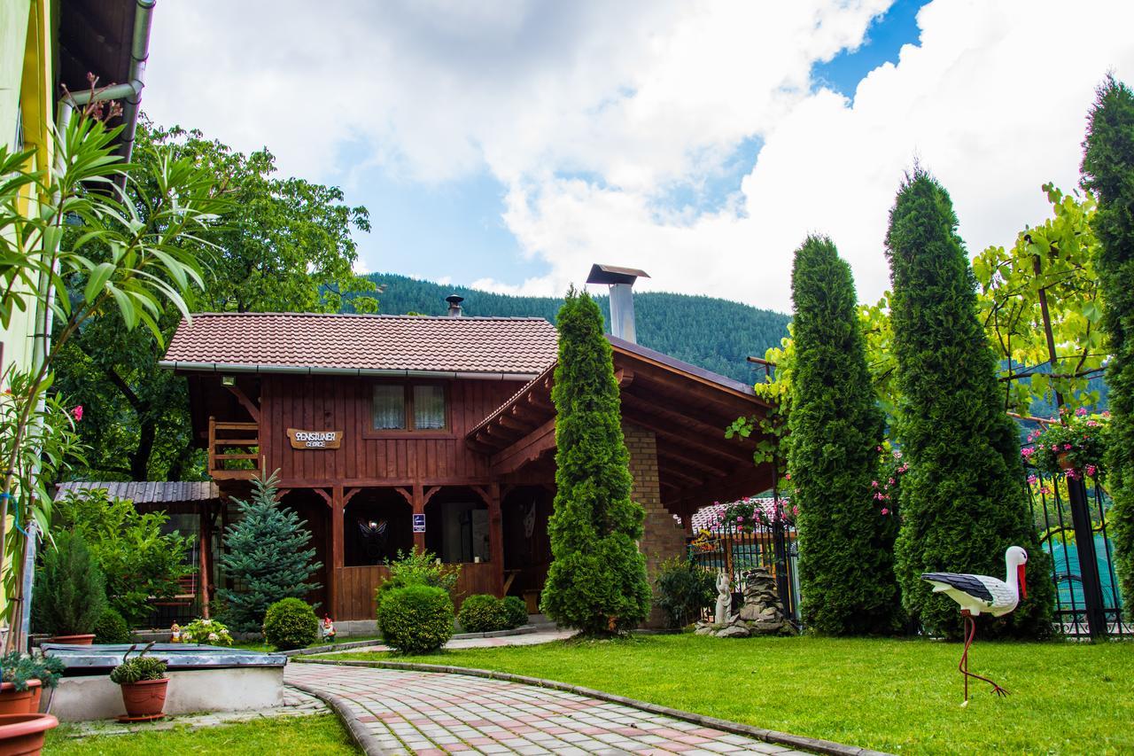 Pensiunea George Gura Râului Exterior foto